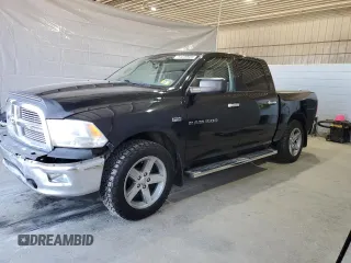 2011 Ram 1500 Big Horn with VIN 1D7RV1CTXBS659656, listed as a Copart auction lot 54239935 with 113,484 mi miles and Salvage title. Bid and sale history available at DreamBid. Image 1.