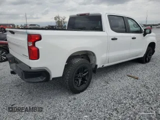 2022 Chevrolet Silverado 1500 Custom Trail Boss with VIN 1GCPYCEL0NZ140337, listed as a Copart auction lot 47146235 with 51,913 mi miles and Salvage Title. Bid and sale history available at DreamBid. Image 3.