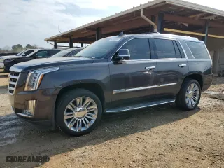 2016 Cadillac Escalade Luxury Collection with VIN 1GYS3BKJ2GR191695, listed as a Copart auction lot 44010225 with 118,062 mi miles and Salvage Title. Bid and sale history available at carsss.com. Image 1.