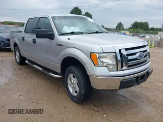 2010 Ford F-150 XL with VIN 1FTEW1C86AFB15213, listed as a IAAI auction lot 42072644 with 234,058 mi miles. Bid and sale history available at carsss.com. Image 1.