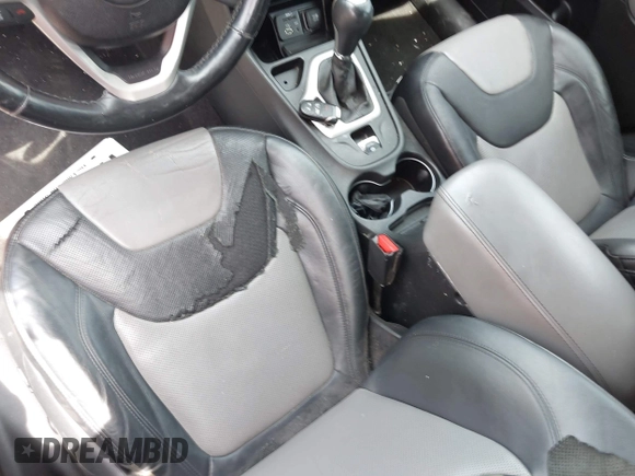 2014 Jeep Cherokee Limited with VIN 1C4PJLDS0EW134195, listed as a IAAI auction lot 42162971 with 182,272 mi miles and . Bid and sale history available at DreamBid. Image 12.