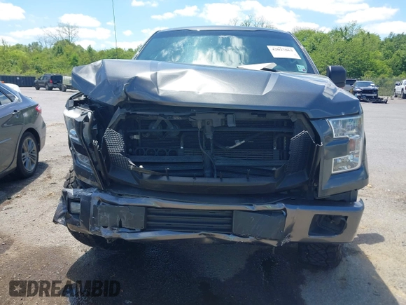 2016 Ford F-150 XL z VIN 1FTEX1CP2GFC72007, wystawiony jako IAAI lot #42027063 z przebiegiem 108 511 mil mil oraz . Historia ofert i sprzedaży dostępna na DreamBid. Obrazek 6.