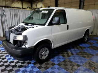 2024 Chevrolet Express Cargo with VIN 1GCWGAFP9R1237366, listed as a Copart auction lot 44425545 with 4,841 mi miles and Clean title. Bid and sale history available at DreamBid. Image 1.