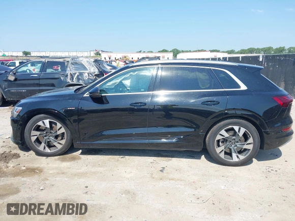 2022 Audi e-tron Premium Plus with VIN WA1LABGE6NB022565, listed as a IAAI auction lot 42402533 with 25,075 mi miles and . Bid and sale history available at DreamBid. Image 15.
