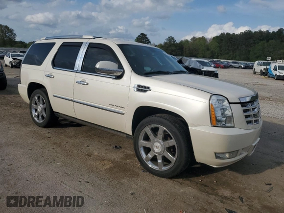 2010 Cadillac Escalade Premium with VIN 1GYUKCEF1AR291044, listed as a Copart auction lot 51627715 with 138,989 mi miles and Salvage title. Bid and sale history available at DreamBid. Image 4.