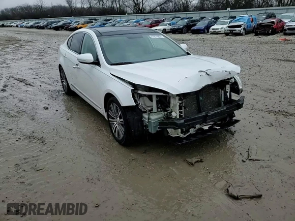 2014 Kia Cadenza Premium with VIN KNALN4D77E5148540, listed as a Copart auction lot 47878235 with 135,058 mi miles and Non Repairable. Bid and sale history available at carsss.com. Image 14.