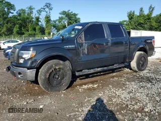 2010 Ford F-150 XL with VIN 1FTFW1EV0AFB21290, listed as a Copart auction lot 61325805 with 199,768 mi miles and Salvage title. Bid and sale history available at DreamBid. Image 1.