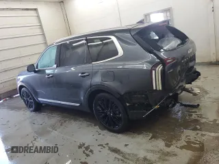 2022 Kia Telluride SX with VIN 5XYP54HC7NG276084, listed as a Copart auction lot 52690395 with 28,005 mi miles and Salvage title. Bid and sale history available at DreamBid. Image 2.