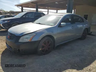 2008 Nissan Maxima 3.5 SL with VIN 1N4BA41E28C824461, listed as a Copart auction lot 50382955 with 263,678 mi miles and Salvage Title. Bid and sale history available at carsss.com. Image 1.