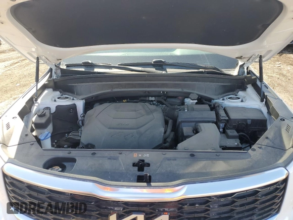 2022 Kia Telluride S with VIN 5XYP6DHC2NG298216, listed as a Copart auction lot 52193685 with 29,712 mi miles and Salvage title. Bid and sale history available at DreamBid. Image 12.