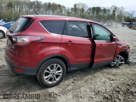 2017 Ford Escape SE with VIN 1FMCU0GD4HUA10282, listed as a Copart auction lot 53872825 with 102,832 mi miles and Salvage Title. Bid and sale history available at DreamBid. Image 3.