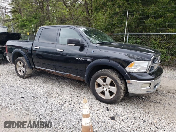 2009 Dodge 1500 SLT with VIN 1D3HV13T19S702739, listed as a Copart auction lot 55923585 with 125,251 mi miles and Clean Title. Bid and sale history available at carsss.com. Image 4.