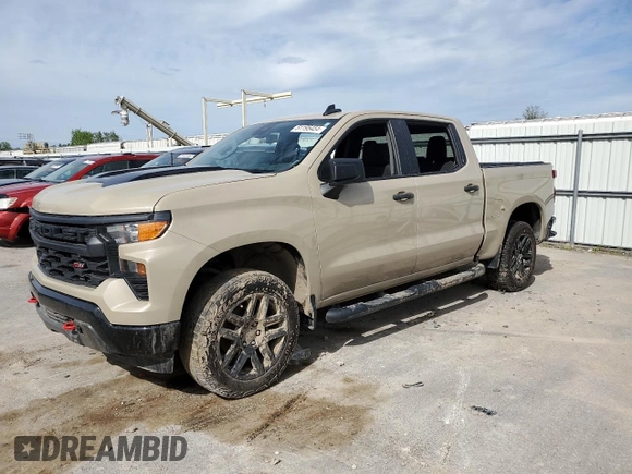 2022 Chevrolet Silverado 1500 Custom Trail Boss with VIN 3GCUDCET4NG579555, listed as a Copart auction lot 51195454 with Not Provided miles and Salvage Title. Bid and sale history available at DreamBid. Image 1.