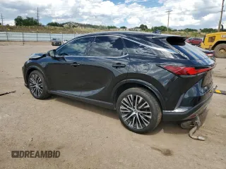 2023 Lexus RX with VIN 2T2BAMCA4PC003366, listed as a Copart auction lot 61029624 with 25,053 mi miles and Salvage Title. Bid and sale history available at carsss.com. Image 2.