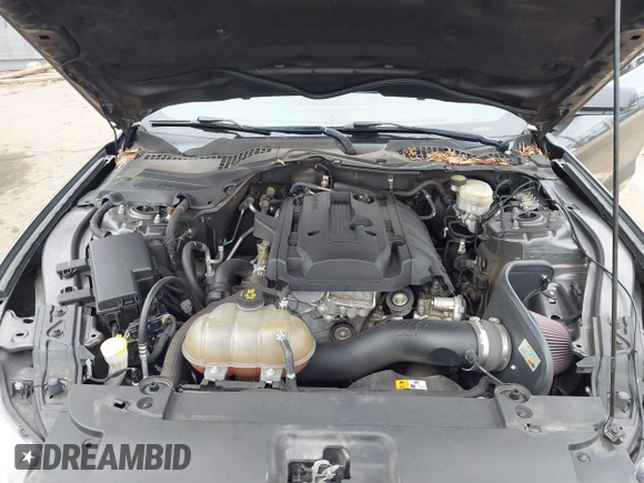 2017 Ford Mustang EcoBoost with VIN 1FA6P8TH6H5203551, listed as a IAAI auction lot 41850202 with 66,805 mi miles. Bid and sale history available at carsss.com. Image 10.
