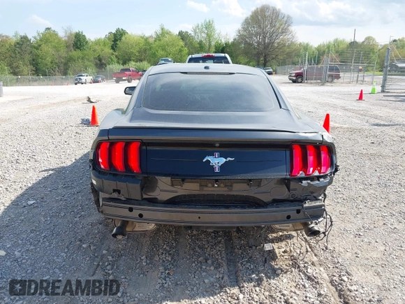 2019 Ford Mustang EcoBoost with VIN 1FA6P8TH7K5166355, listed as a IAAI auction lot 42007861 with 97,807 mi miles and . Bid and sale history available at DreamBid. Image 15.