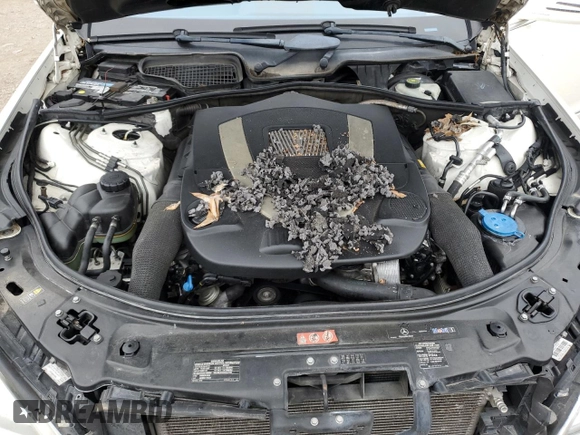 2010 Mercedes-Benz S 550 with VIN WDDNG7BB6AA332065, listed as a Copart auction lot 55071685 with 209,325 mi miles and Salvage Title. Bid and sale history available at DreamBid. Image 11.