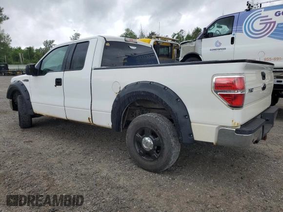 2010 Ford F-150 XL z VIN 1FTFX1CV5AKE47416, wystawiony jako Copart lot #65258895 z przebiegiem 260 458 mil mil oraz Czysty tytuł • Clean title. Historia ofert i sprzedaży dostępna na DreamBid. Obrazek 2.