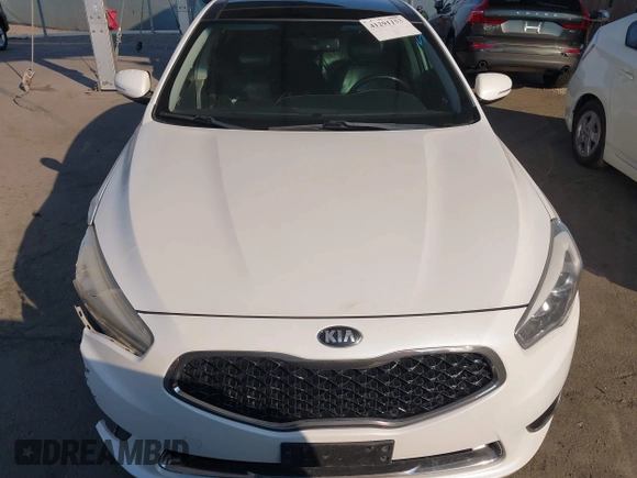 2014 Kia Cadenza Premium with VIN KNALN4D79E5157353, listed as a IAAI auction lot 41291153 with 141,049 mi miles. Bid and sale history available at carsss.com. Image 13.