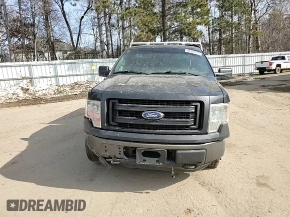 2014 Ford F-150 XL with VIN 1FTMF1EM3EKE99275, listed as a Copart auction lot 48309175 with 213,384 mi miles and Salvage Title. Bid and sale history available at carsss.com. Image 10.