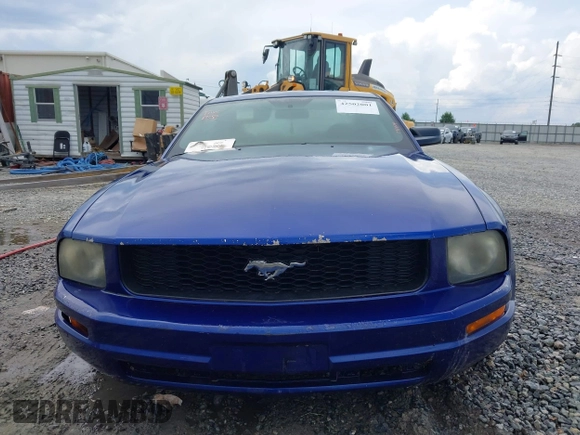 2005 Ford Mustang Deluxe with VIN 1ZVFT80N555143979, listed as a IAAI auction lot 42502001 with 201,721 mi miles and . Bid and sale history available at DreamBid. Image 6.