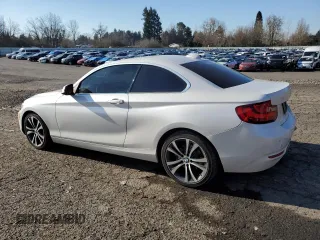 2016 BMW 2 Series 228i with VIN WBA1F9C59GV545896, listed as a Copart auction lot 42260055 with 68,755 mi miles and Salvage Title. Bid and sale history available at DreamBid. Image 2.