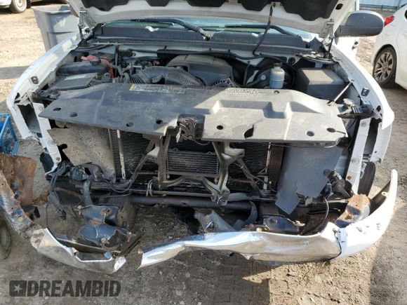 2009 Chevrolet Silverado 1500 with VIN 1GCEK24J89Z150770, listed as a Copart auction lot 66755994 with 240,924 mi miles and Salvage Title. Bid and sale history available at DreamBid. Image 11.