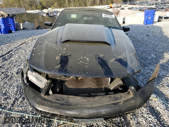 2011 Ford Mustang GT with VIN 1ZVBP8FF0B5110113, listed as a Copart auction lot 51071685 with 110,369 mi miles and Salvage Title. Bid and sale history available at DreamBid. Image 5.