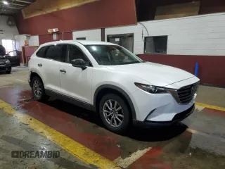 2019 Mazda CX-9 Touring with VIN JM3TCBCY5K0313329, listed as a Copart auction lot 52027355 with 83,469 mi miles and Clean title. Bid and sale history available at DreamBid. Image 4.