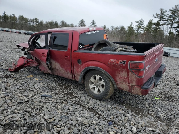 2013 Ford F-150 XL with VIN 1FTFW1EF8DFC82824, listed as a Copart auction lot 50132975 with Not Provided miles and Salvage Title. Bid and sale history available at DreamBid. Image 2.