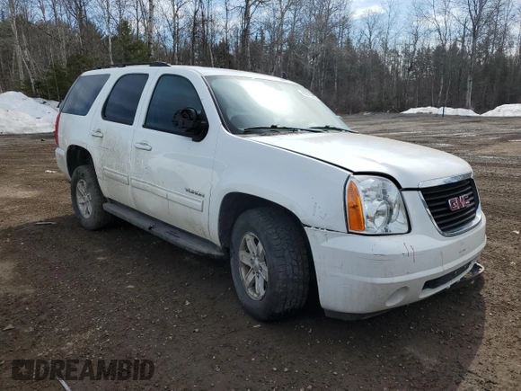 2014 GMC Yukon SLE with VIN 1GKS2AE02ER121038, listed as a Copart auction lot 49241315 with 225,424 mi miles and Clean Title. Bid and sale history available at carsss.com. Image 4.