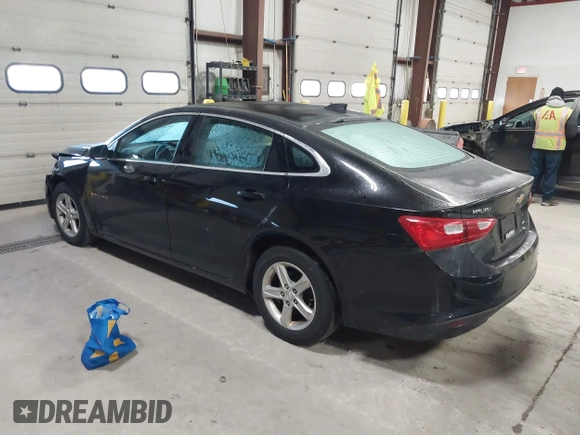 2019 Chevrolet Malibu LS z VIN 1G1ZB5ST7KF213820, wystawiony jako IAAI lot #41890438 z przebiegiem 119 377 mil mil oraz . Historia ofert i sprzedaży dostępna na DreamBid. Obrazek 3.