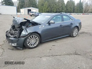 2010 Cadillac CTS Premium with VIN 1G6DS5EV1A0113022, listed as a Copart auction lot 48383105 with Not provided miles and Salvage title. Bid and sale history available at DreamBid. Image 1.