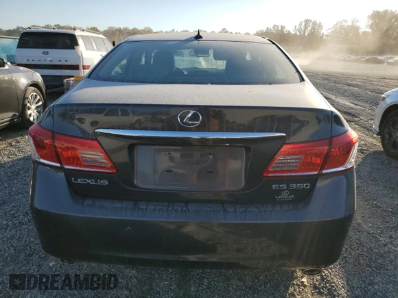 2010 Lexus ES 330 with VIN JTHBK1EG9A2375436, listed as a Copart auction lot 76818974 with 61,629 mi miles and Salvage Title. Bid and sale history available at DreamBid. Image 6.