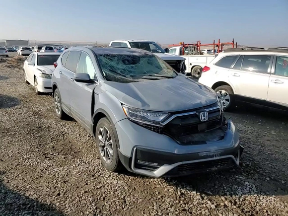 2022 Honda CR-V Hybrid EX-L with VIN 5J6RT6H87NL017647, listed as a Copart auction lot 82653784 with 0 mi miles and Salvage Title. Bid and sale history available at carsss.com. Image 10.