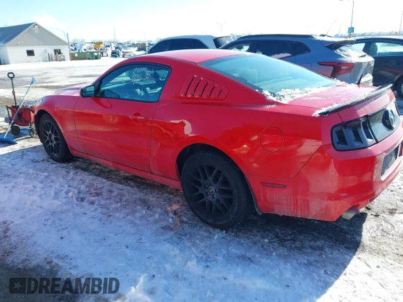 2014 Ford Mustang V6 with VIN 1ZVBP8AM4E5253432, listed as a IAAI auction lot 41316963 with 145,150 mi miles and . Bid and sale history available at carsss.com. Image 3.