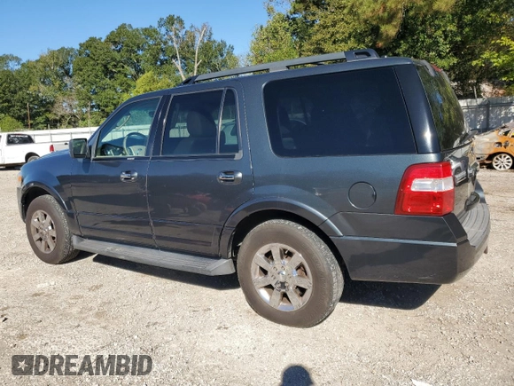 2009 Ford Expedition SSV with VIN 1FMFU15579LA02294, listed as a Copart auction lot 80765814 with 204,577 mi miles and Clean title. Bid and sale history available at DreamBid. Image 2.