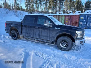2015 Ford F-150 XLT with VIN 1FTEW1E83FFC62819, listed as a Copart auction lot 88493345 with 295,867 mi miles and Salvage Title. Bid and sale history available at DreamBid. Image 4.
