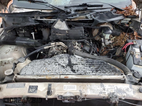 1995 Dodge 1500 with VIN 3B7HC13Y2SM180678, listed as a Copart auction lot 52900375 with Not Provided miles and Salvage Title. Bid and sale history available at DreamBid. Image 11.