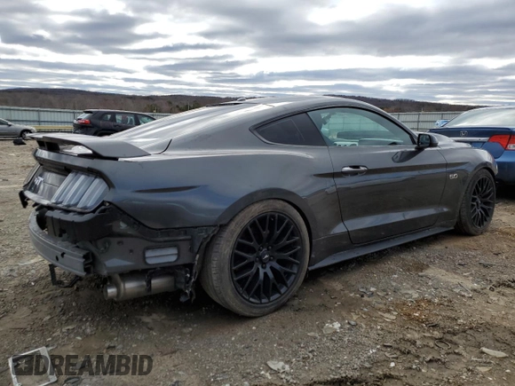 2019 Ford Mustang GT with VIN 1FA6P8CF5K5167812, listed as a Copart auction lot 47606065 with 49,386 mi miles and Salvage Title. Bid and sale history available at DreamBid. Image 3.