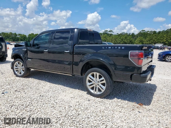2013 Ford F-150 XL with VIN 1FTFW1ET2DFC34113, listed as a Copart auction lot 62120405 with 54,344 mi miles and Salvage title. Bid and sale history available at DreamBid. Image 2.