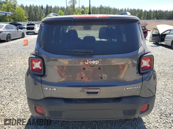 2020 Jeep Renegade Limited with VIN ZACNJBD18LPL89029, listed as a Copart auction lot 53712385 with 42,097 mi miles and Salvage title. Bid and sale history available at DreamBid. Image 6.