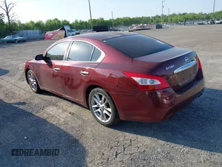 2009 Nissan Maxima SV with VIN 1N4AA51E19C841383, listed as a IAAI auction lot 42132774 with Not Provided miles and . Bid and sale history available at DreamBid. Image 3.