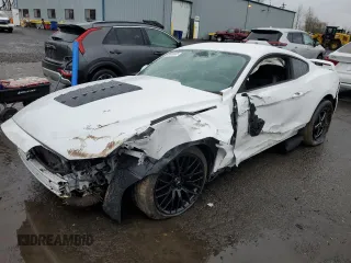 2019 Ford Mustang GT with VIN 1FA6P8CF4K5104152, listed as a Copart auction lot 49410255 with 30,809 mi miles and Salvage Title. Bid and sale history available at carsss.com. Image 1.
