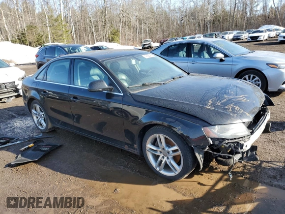 2009 Audi A4 with VIN WAULF68K79N031358, listed as a Copart auction lot 48255455 with Not provided miles and Clean title. Bid and sale history available at DreamBid. Image 4.