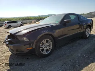2014 Ford Mustang V6 z VIN 1ZVBP8AM0E5306028, wystawiony jako Copart lot #54316385 z przebiegiem 145 096 mil mil oraz Szkoda całkowita • Salvage title. Historia ofert i sprzedaży dostępna na DreamBid. Obrazek 1.