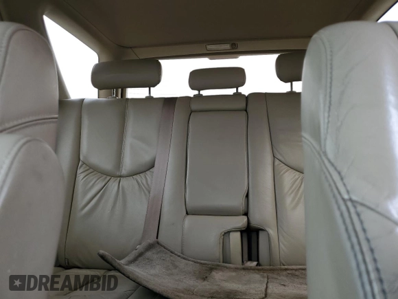 2001 Lexus RX 300 with VIN JTJHF10U810223492, listed as a Copart auction lot 51623115 with 124,459 mi miles and Salvage Title. Bid and sale history available at DreamBid. Image 10.