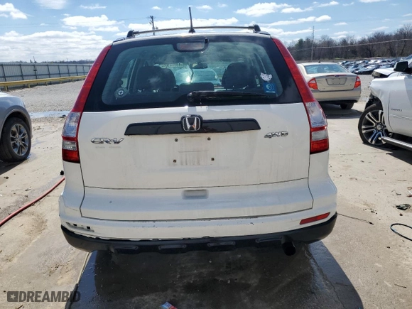 2010 Honda CR-V LX with VIN 5J6RE4H33AL097350, listed as a Copart auction lot 48903535 with 217,277 mi miles and Salvage Title. Bid and sale history available at carsss.com. Image 6.