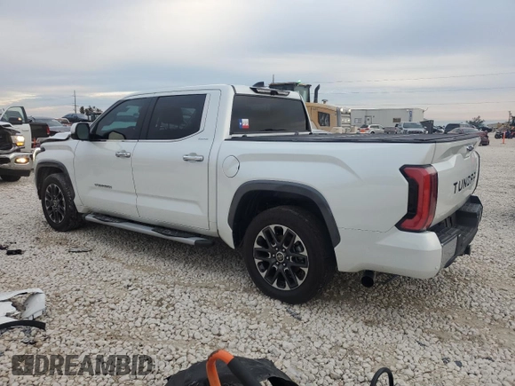 2022 Toyota Tundra Limited with VIN 5TFJA5ABXNX009687, listed as a Copart auction lot 83356634 with 19,110 mi miles and Salvage title. Bid and sale history available at DreamBid. Image 2.