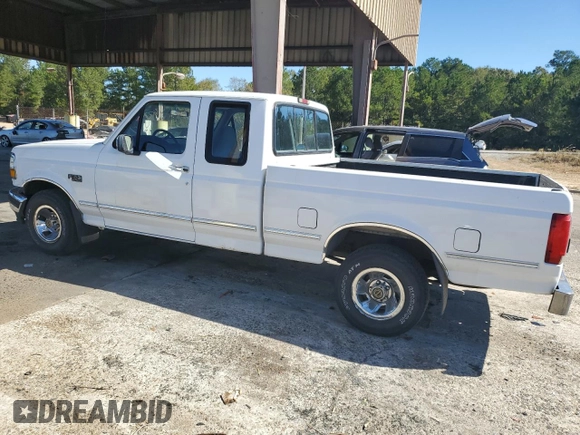 1995 Ford F-150 with VIN 1FTEX15N1SKB74596, listed as a Copart auction lot 73388284 with 310,129 mi miles and Salvage Title. Bid and sale history available at carsss.com. Image 2.